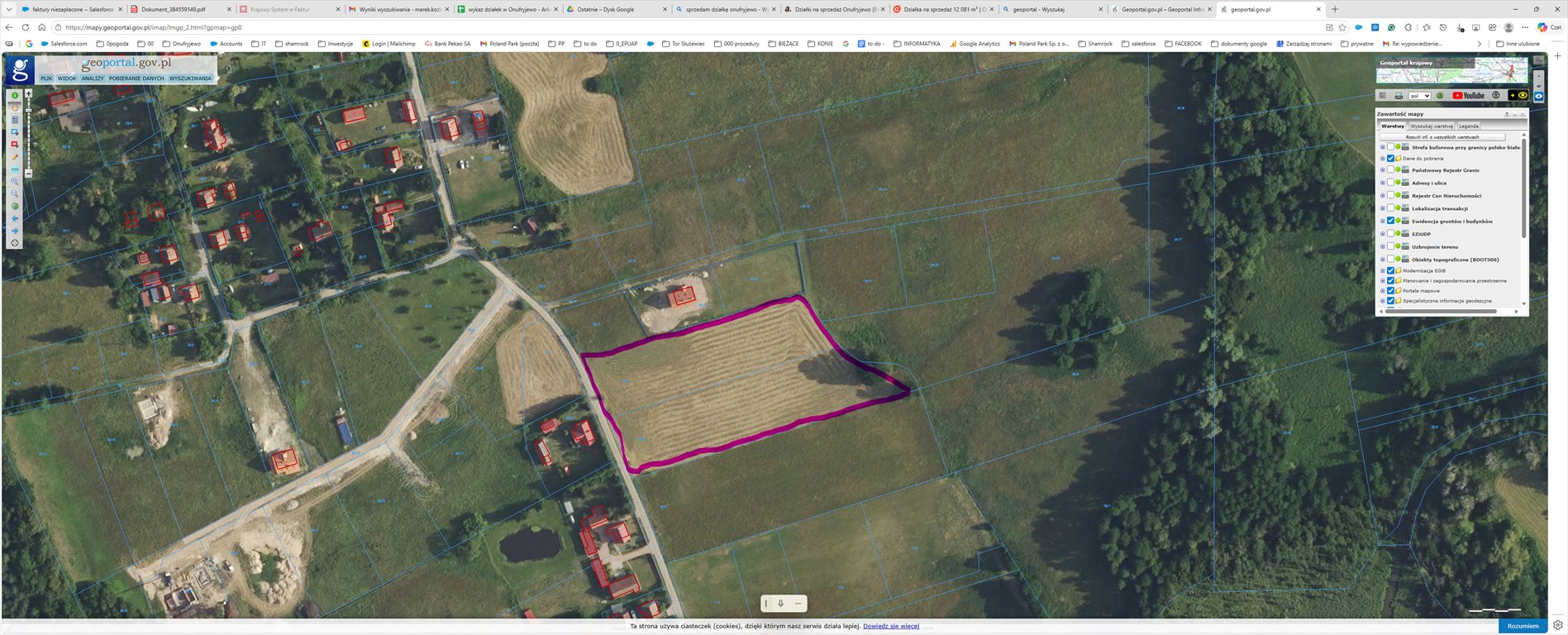 Działka 11 000 m² z unikalnym dębem, blisko Portów Onufryjewo  11 000m2 Foto 1