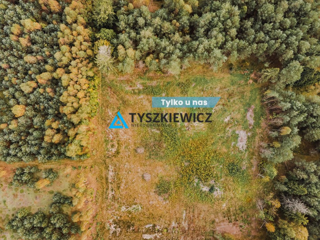 Działka budowlana na sprzedaż Kowalewo  1 013m2 Foto 1
