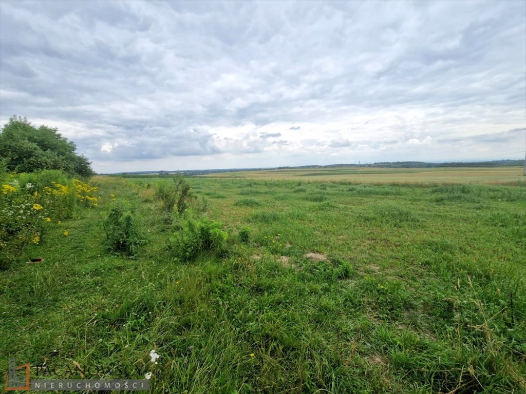 Działka rolna na sprzedaż Rzeplin  3 611m2 Foto 3