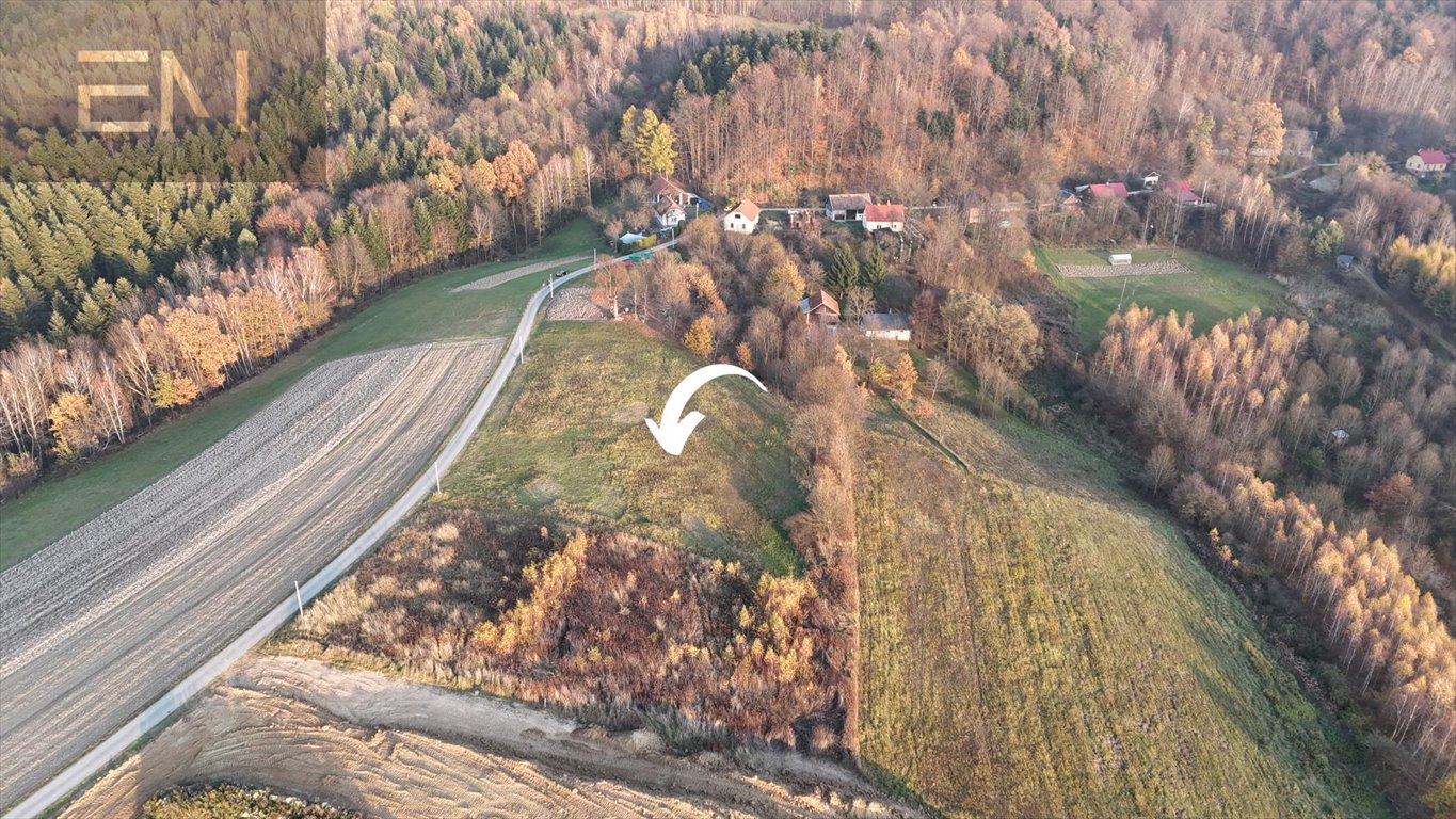 Działka budowlana na sprzedaż Żarnowa  5 000m2 Foto 3