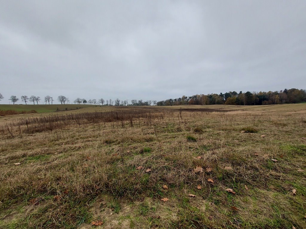 Działka budowlana na sprzedaż Izdebno  1 500m2 Foto 9