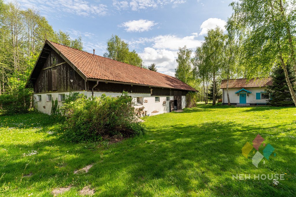 Działka siedliskowa na sprzedaż Wajsnory  190 400m2 Foto 8