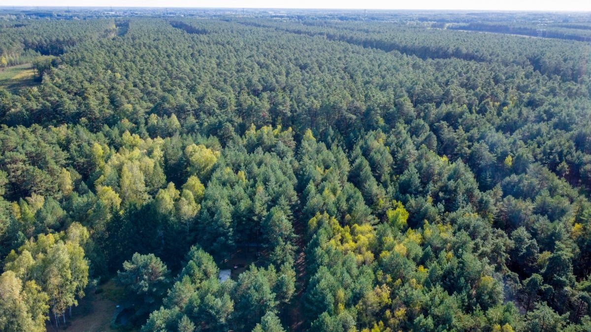 Działka budowlana na sprzedaż Basinów  972m2 Foto 6