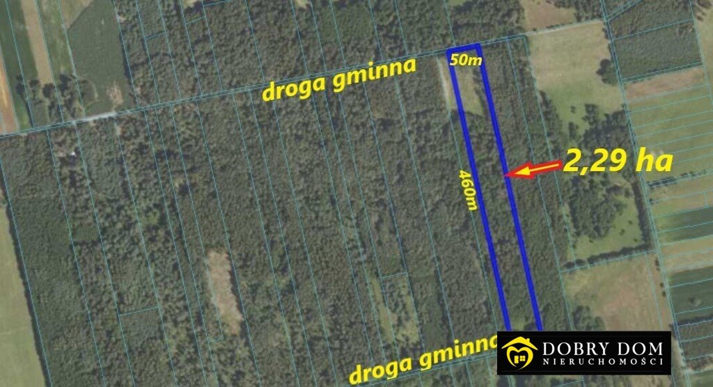 Działka rolno-leśna 2,29 ha w Gredele – cisza i spokój Gredele  22 900m2 Foto 1