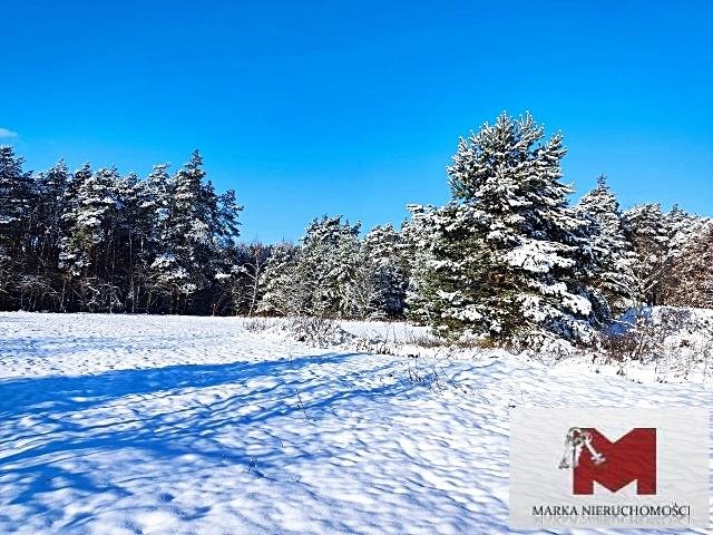 Działka budowlana na sprzedaż Kędzierzyn-Koźle, Kłodnica, Wandy  730m2 Foto 5