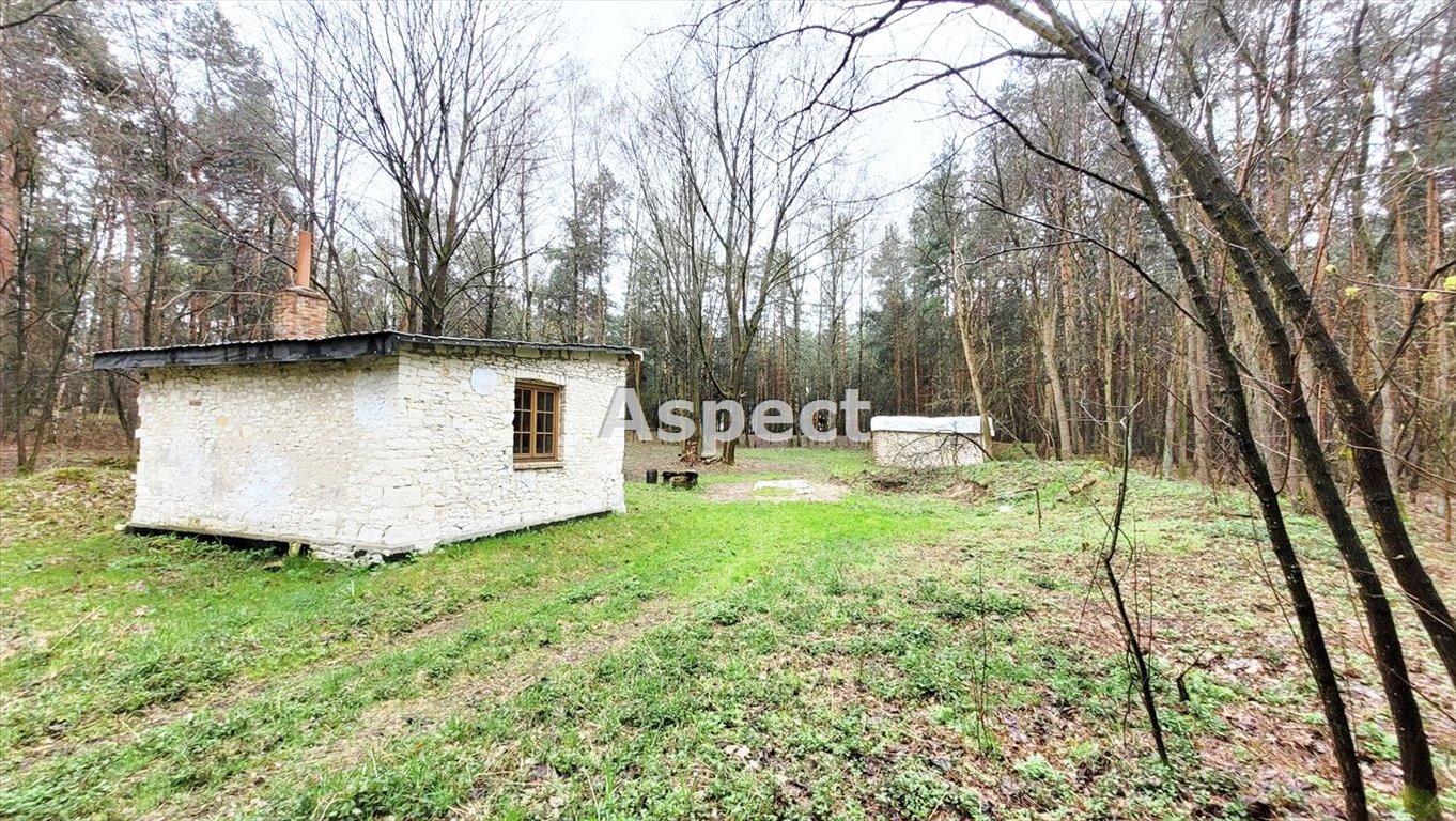 Działka budowlana na sprzedaż Kazimierz Dolny, Okale  2 450m2 Foto 1