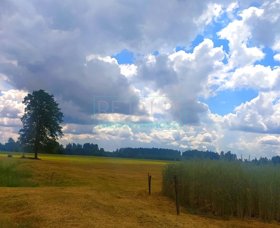 Działka budowlana na sprzedaż Żelechów  2 000m2 Foto 2