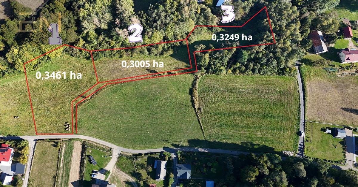 Polecam trzy działki 3 249 m² w spokojnej okolicy Godowa  3 249m2 Foto 1