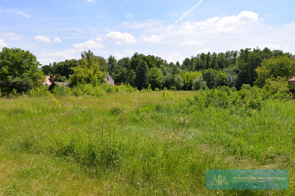 Działka budowlana na sprzedaż Rzeszów, Staroniwa  4 000m2 Foto 1