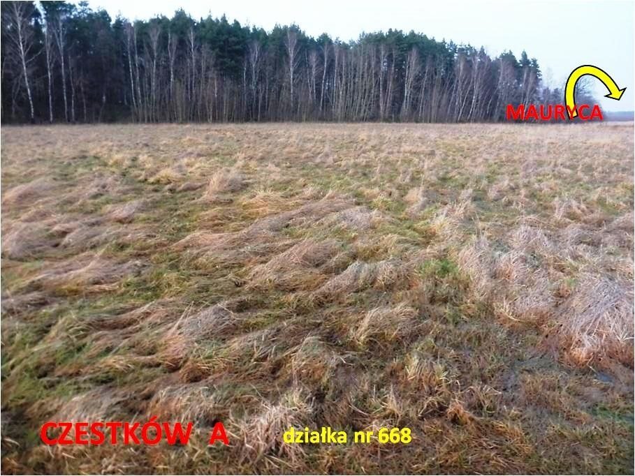 Działka inna na sprzedaż Czestków A  2 184m2 Foto 2