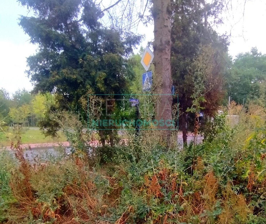 Działka budowlana na sprzedaż Grodzisk Mazowiecki  960m2 Foto 3