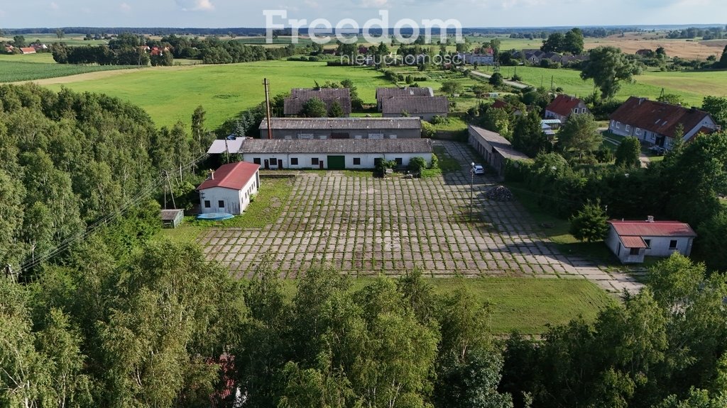 Magazyn na sprzedaż Olszewo  8 330m2 Foto 1