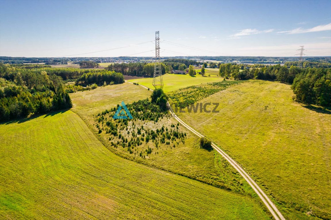 Działka rolna na sprzedaż Skorzewo  52 678m2 Foto 3