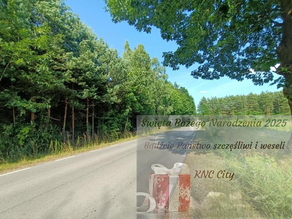 Działka budowlana na sprzedaż Szlachecki Las  4 400m2 Foto 1