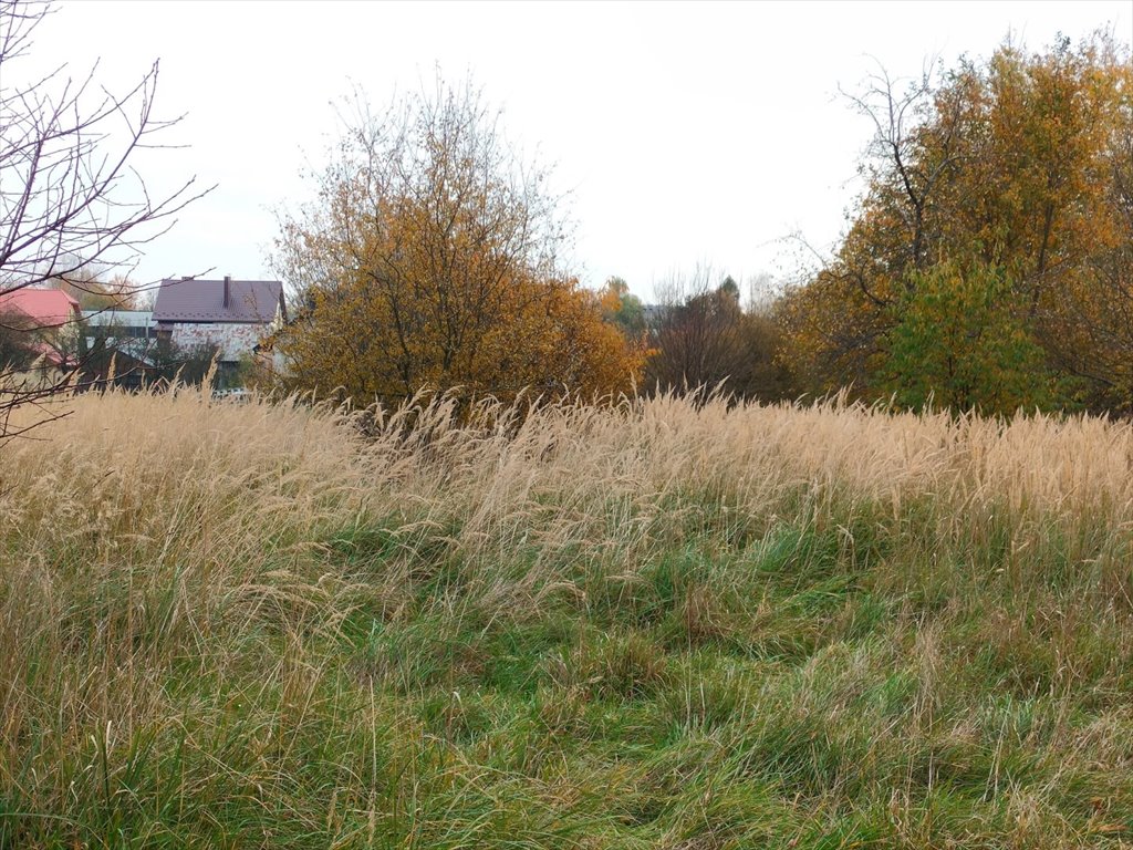 Działka budowlana na sprzedaż Kielce, Dąbrowa  860m2 Foto 6