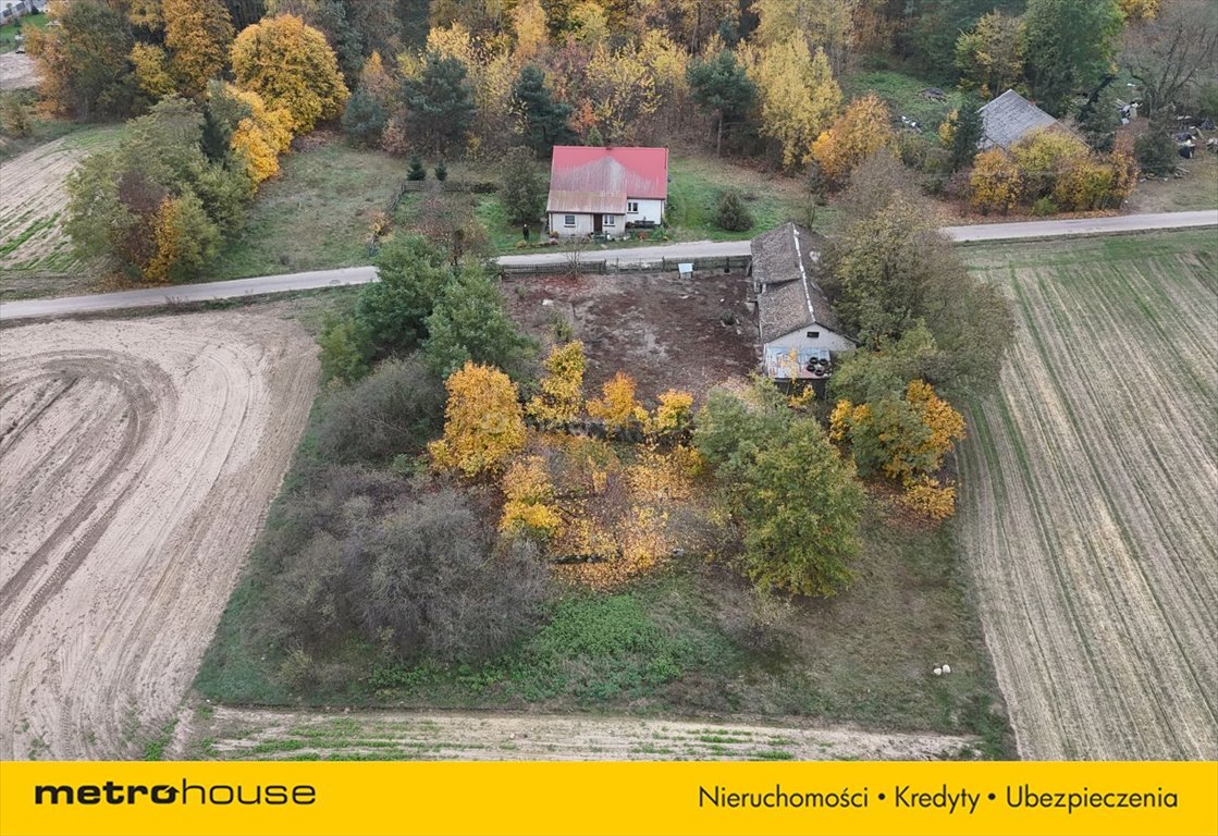 Działka inna na sprzedaż Płoniawy-Kolonia  3 000m2 Foto 4