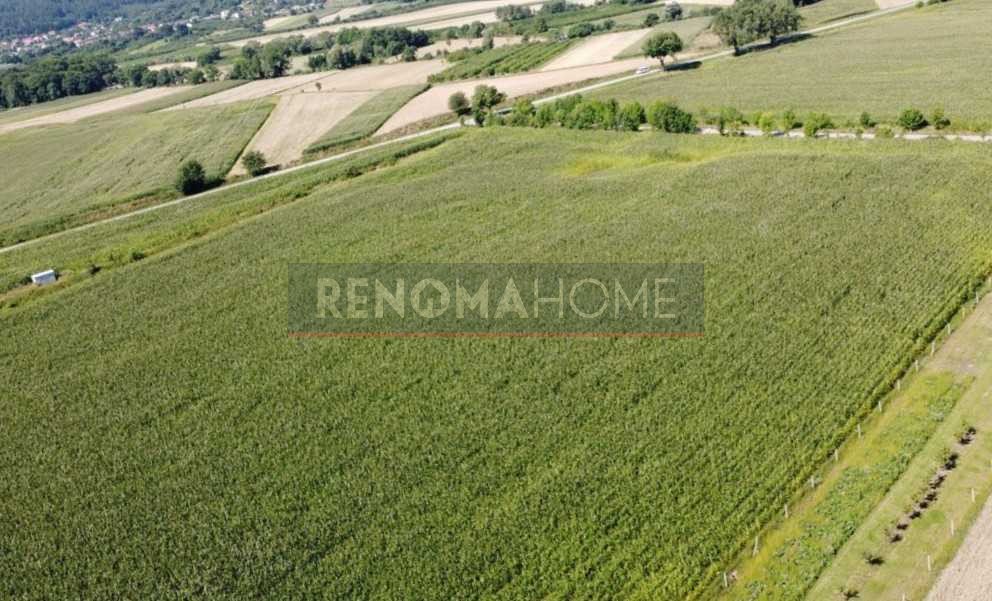 Działka budowlana na sprzedaż Strzegomiany  51 900m2 Foto 5