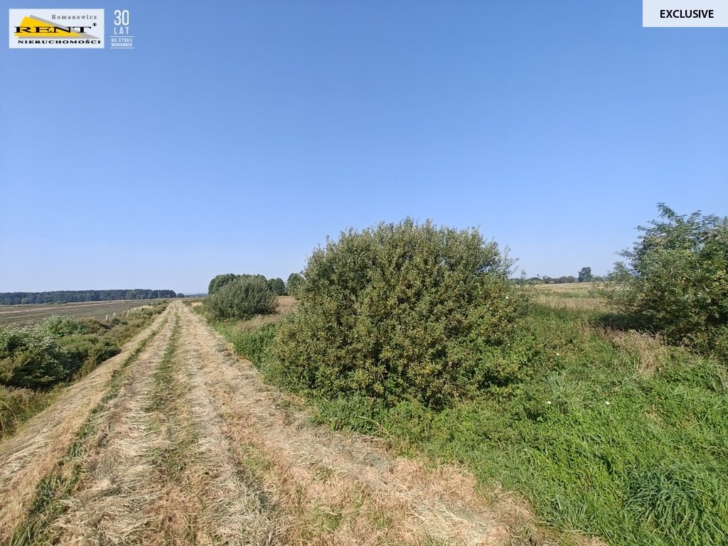 Działka rolna na sprzedaż Rurzyca  20 400m2 Foto 2