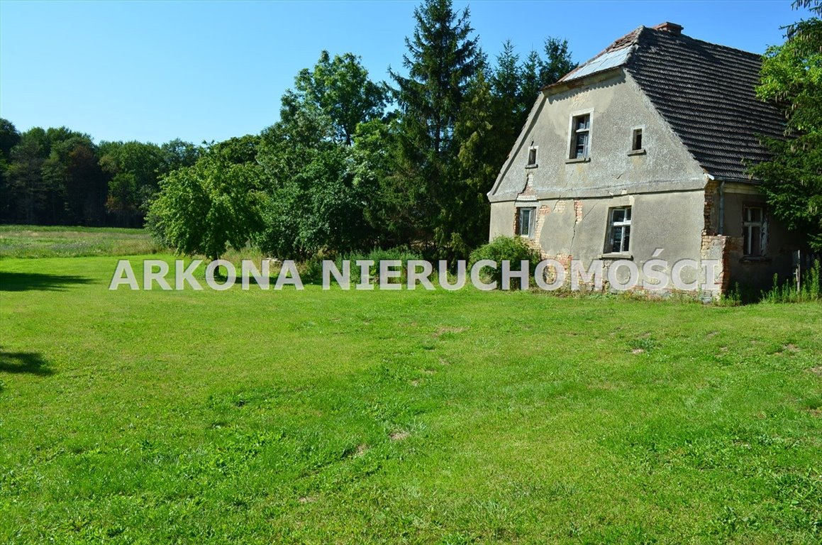 Działka inna na sprzedaż Karnice  8 000m2 Foto 5