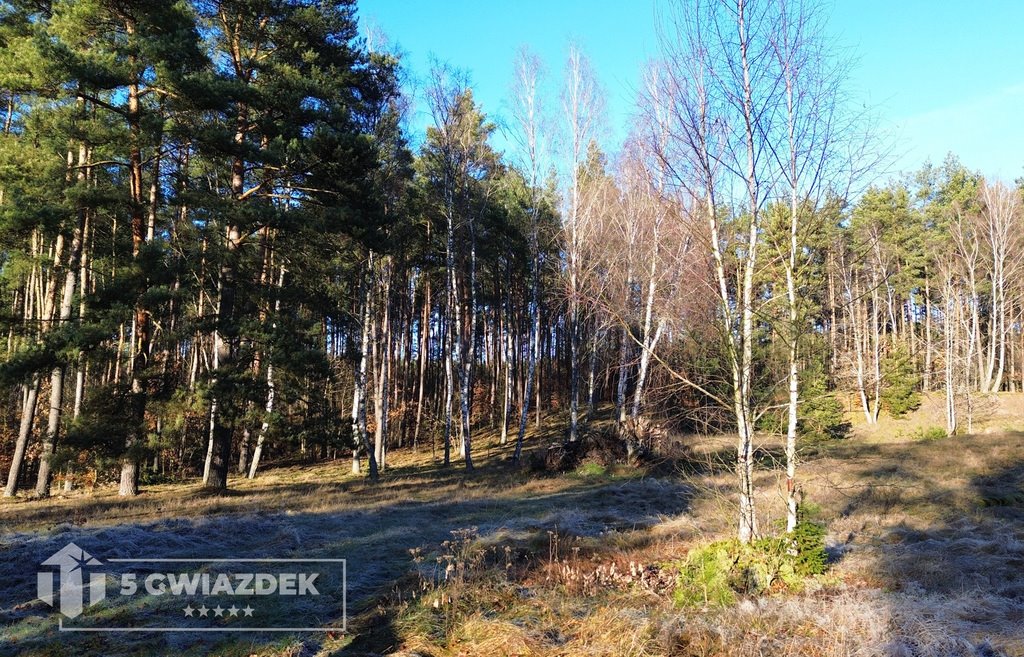 Działka budowlana na sprzedaż Drężno  5 877m2 Foto 10