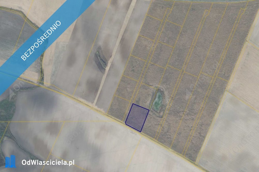 Działka 3912 m² w Młodasko – bez prowizji, przetarg Młodasko  3 912m2 Foto 1