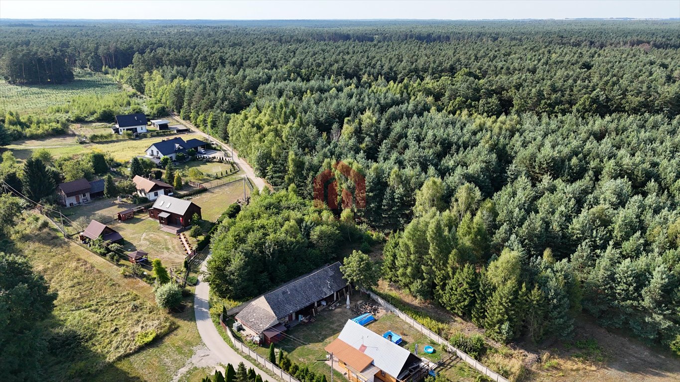 Działka budowlana na sprzedaż Lipiny  1 324m2 Foto 4