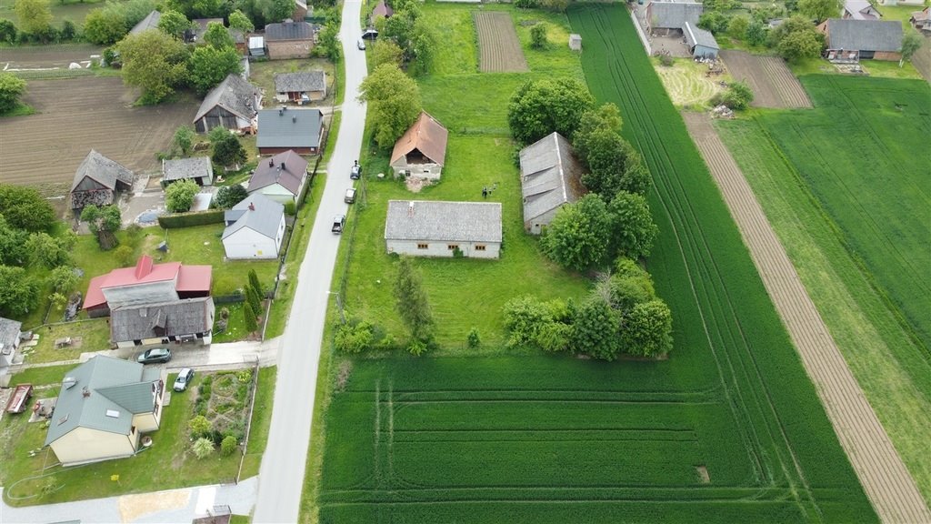Gospodarstwo z zabudowaniami, 43 ar, do remontu Siedliszowice  130m2 Foto 1