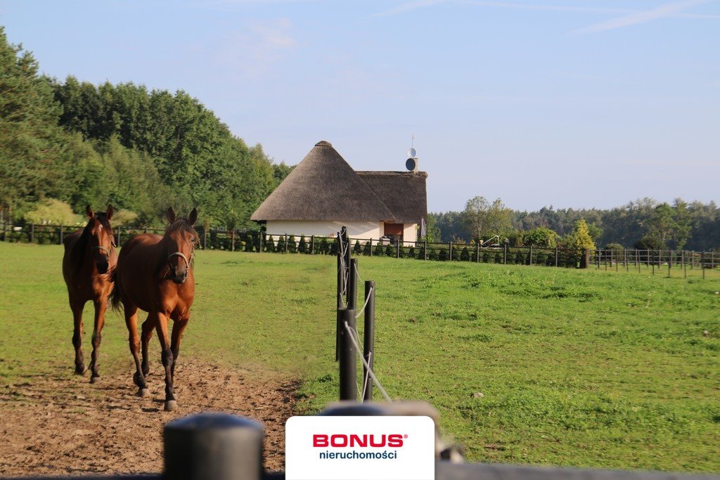 Unikatowa posiadłość z domem i stajnią (10,5 ha) w Dobropolu Dobropole  985m2 Foto 1