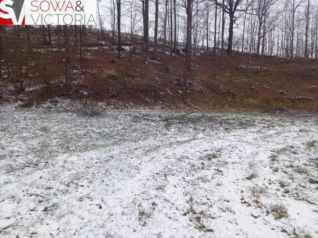 Działka budowlana na sprzedaż Chwaliszów  5 500m2 Foto 3