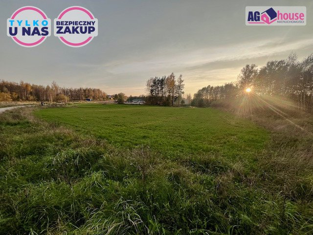 Działka budowlana 2346 m² z pełnym uzbrojeniem, blisko jeziora Pomlewo, Kasztanowa  2 346m2 Foto 1