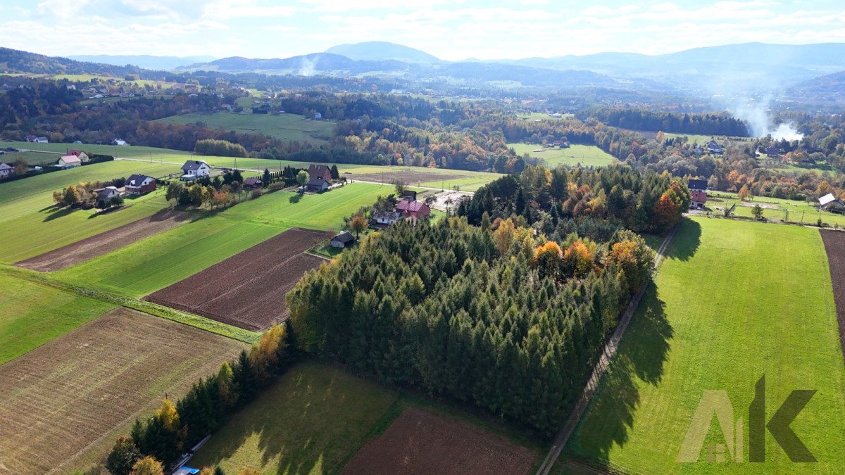 Działka budowlana na sprzedaż Polna  1 823m2 Foto 12