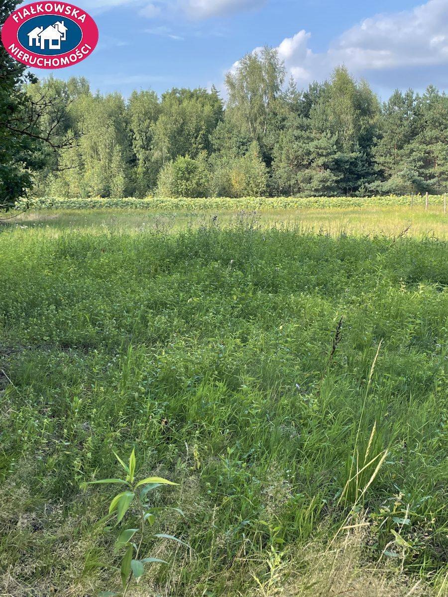 Działka budowlana na sprzedaż Budy Mszczonowskie  1 200m2 Foto 1