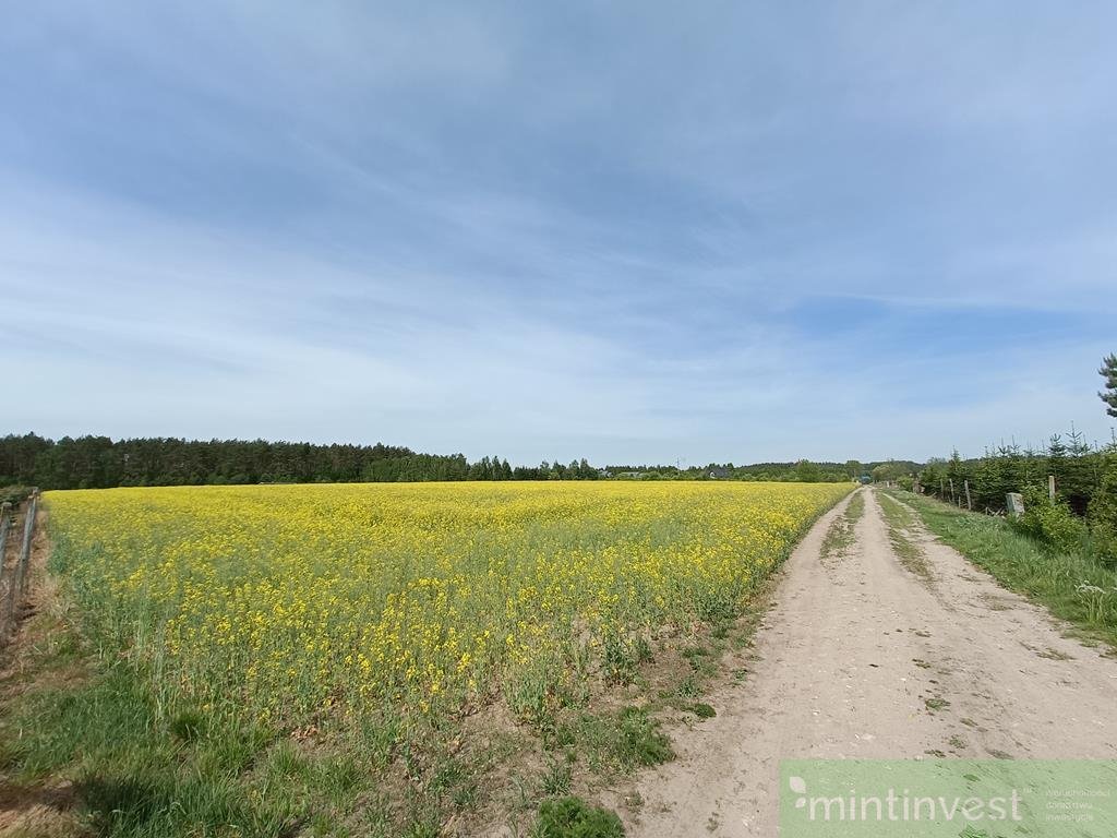 Działka rolna na sprzedaż Stawno  1 304m2 Foto 4