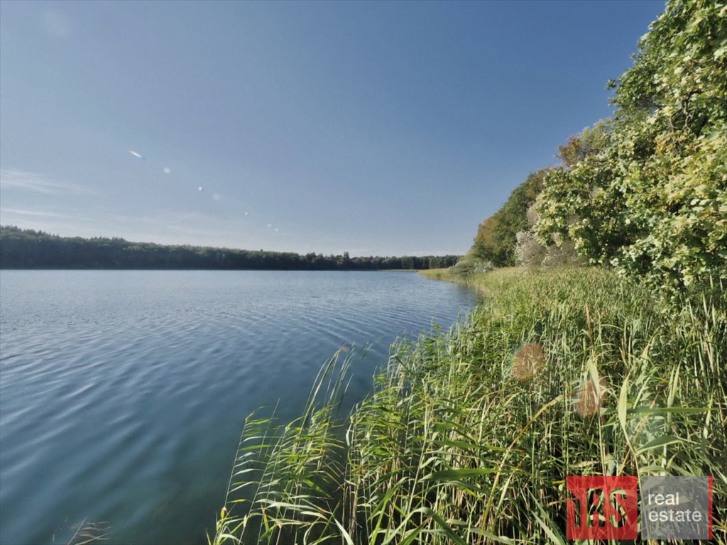 Działka rekreacyjna na sprzedaż Muchocin  974m2 Foto 7