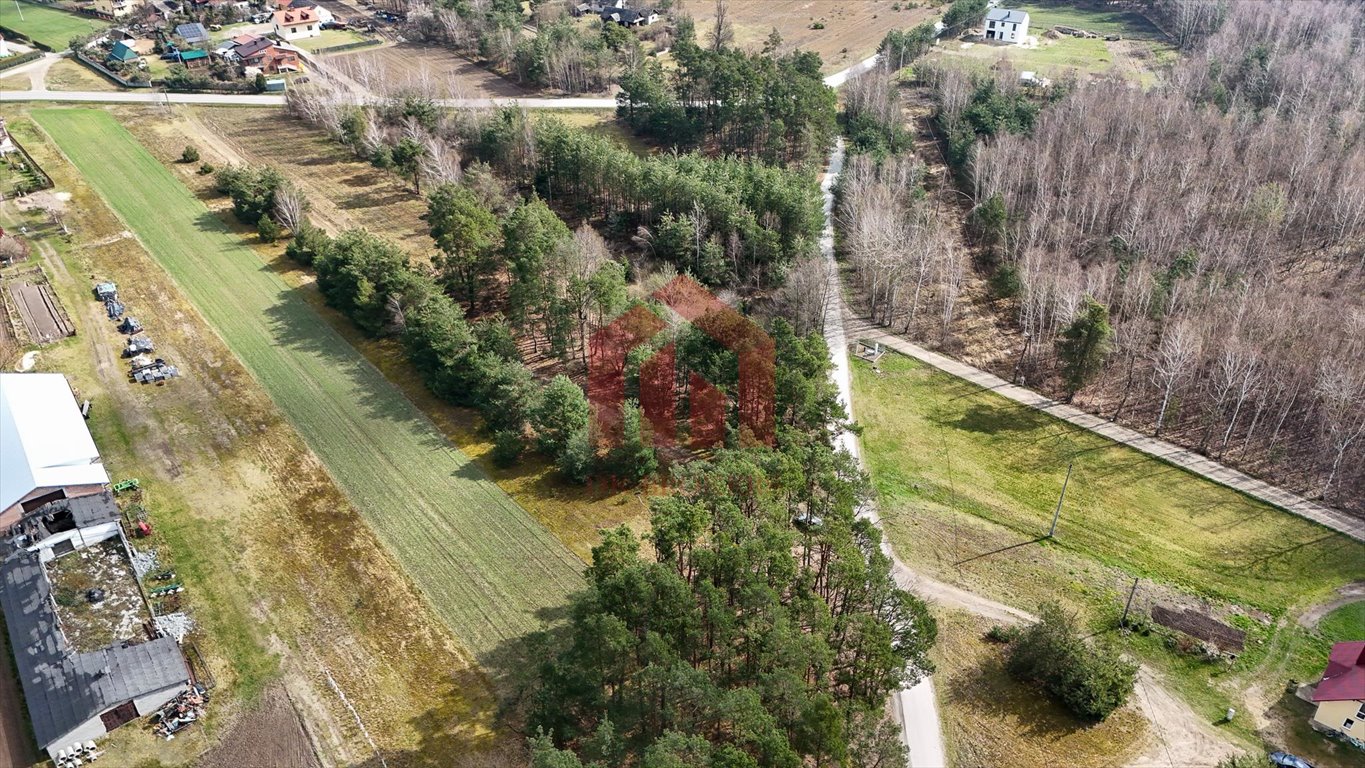 Zapraszam do obejrzenia działki 238 m² pod Rzeszowem z mediami Czarna Sędziszowska  238m2 Foto 1