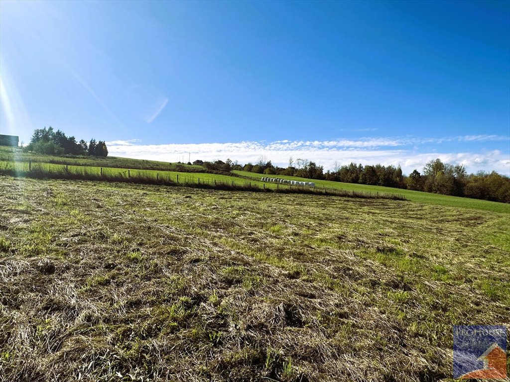 Działka budowlana na sprzedaż Pisarzowa  4 873m2 Foto 7