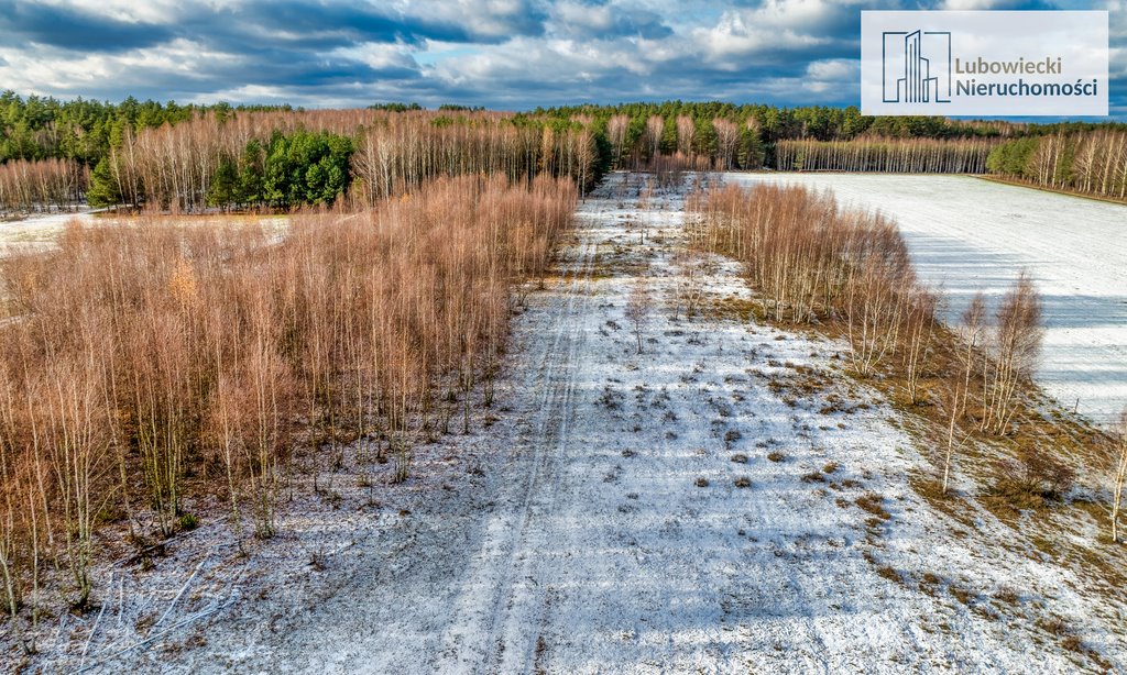 Działka rolna na sprzedaż Wilamowo  3 002m2 Foto 11