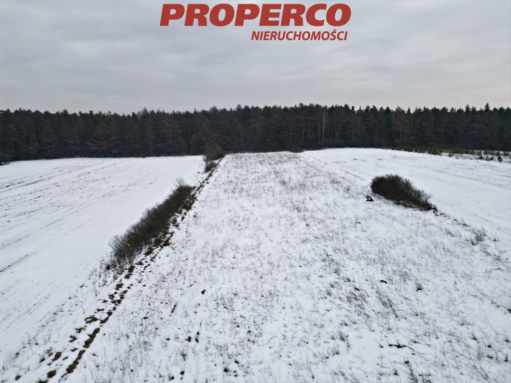 Działka inna na sprzedaż Daleszyce, Marzysz  2 800m2 Foto 7