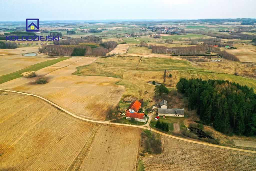 Działka rolna na sprzedaż Nowosady  85 700m2 Foto 7