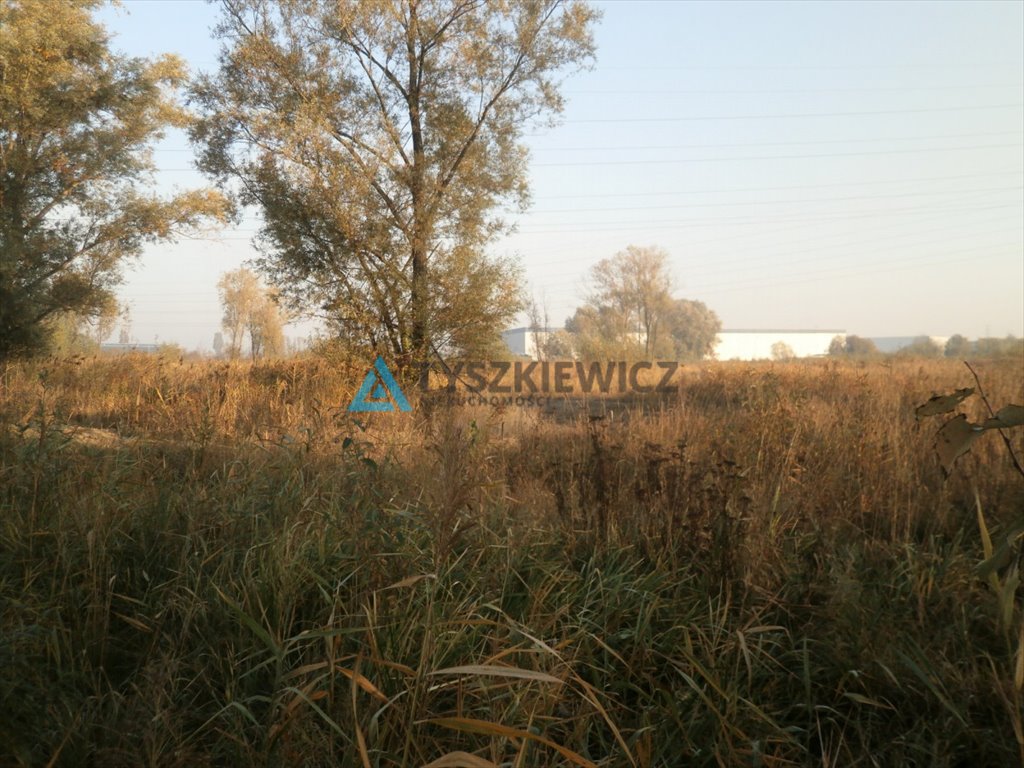 Działka rolna na sprzedaż Gdańsk, Rudniki, Rzęsna  6 921m2 Foto 8