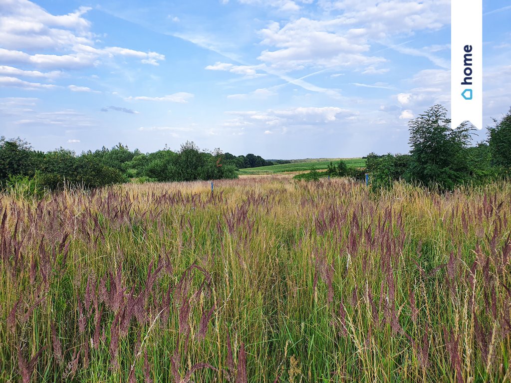 Działka budowlana na sprzedaż Wińsko, Parkowa  1 405m2 Foto 3