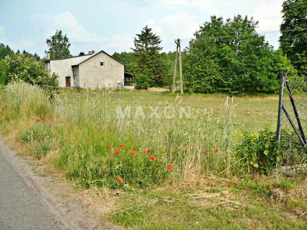 Działka rolna na sprzedaż Konary  10 700m2 Foto 4