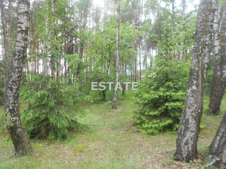 Działka budowlana na sprzedaż Rosanów, Wesoła 2 374m2 Foto 1 Działka budowlana na sprzedaż Rosanów, Wesoła 2 374m2 Foto 1