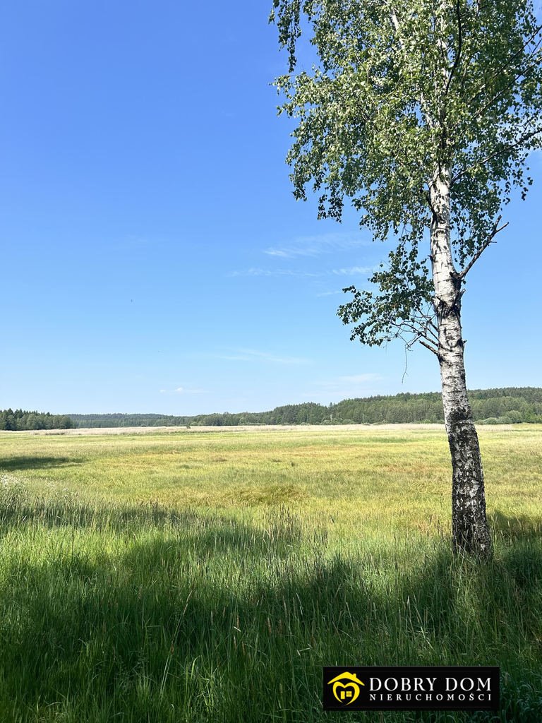 Działka rolna na sprzedaż Zasady  16 146m2 Foto 1