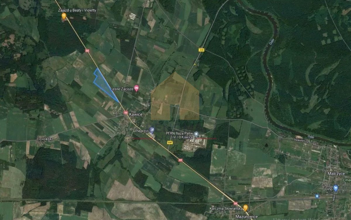 Działka rolna 10,74 ha przy DK94 z możliwością zabudowy Kawice  107 400m2 Foto 1