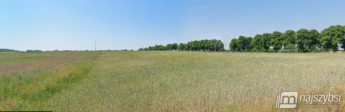 Działka rolna na sprzedaż Świecie Kołobrzeskie, Wieś  9 600m2 Foto 7