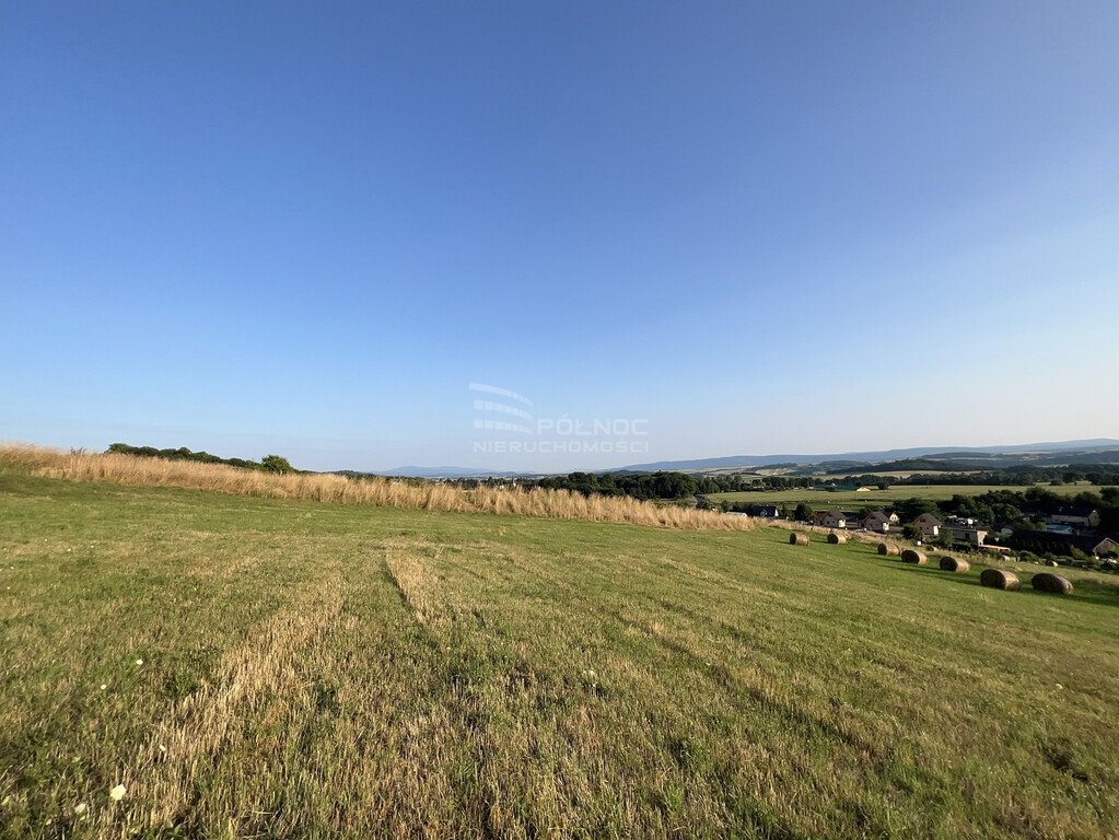 Działka budowlana na sprzedaż Bożków  10 600m2 Foto 4