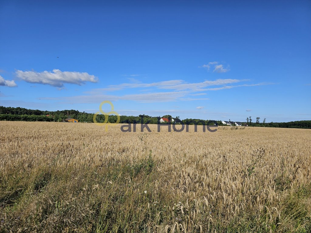 Działka budowlana na sprzedaż Konarskie  6 941m2 Foto 2