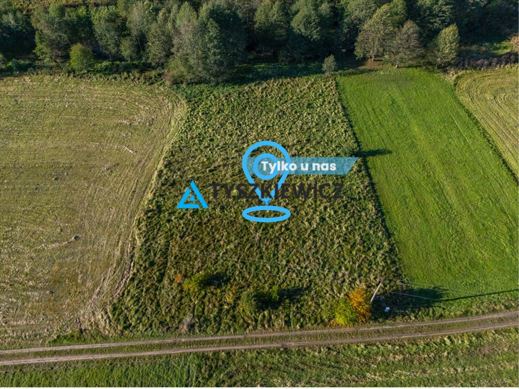 Działka budowlana na sprzedaż Śliwiczki  3 100m2 Foto 1