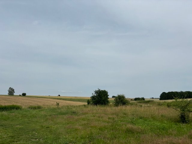 Działka inwestycyjna na sprzedaż Gryfów Śląski  5 400m2 Foto 1